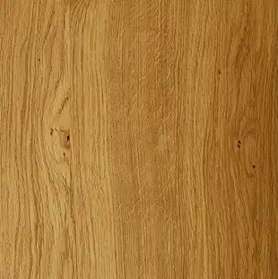Musterfront Holz Asteiche Natur von Breitschopf Küchen